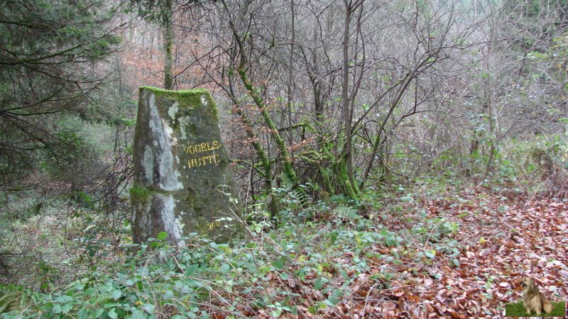 Ritterstein Nr. 038-3 Vogelshütte.JPG - Ritterstein Nr.38 Vogelshütte